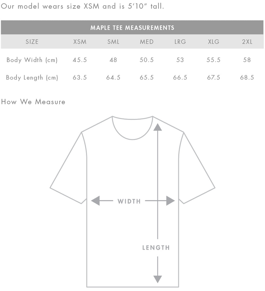 Assent Ladies Tee